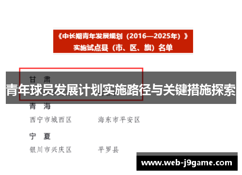 青年球员发展计划实施路径与关键措施探索